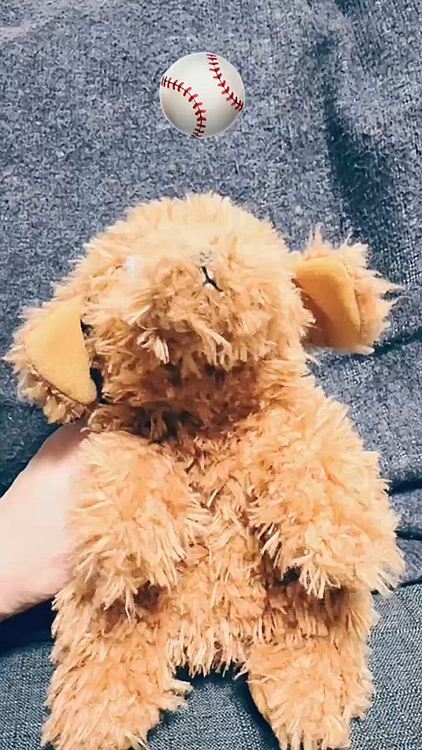 大谷翔平さんの愛犬のぬいぐるみも同じ

うちにも同じのあって笑えました

ぬいぐるみのグレードではなく、

痛めつけ具合がお揃です🤣

ライちゃんのブーブ🚗にぬいぐるみを乗せたら

ちょっと気になったのかやってきました

だんだん慣れてくるかな？

音声も入れました






