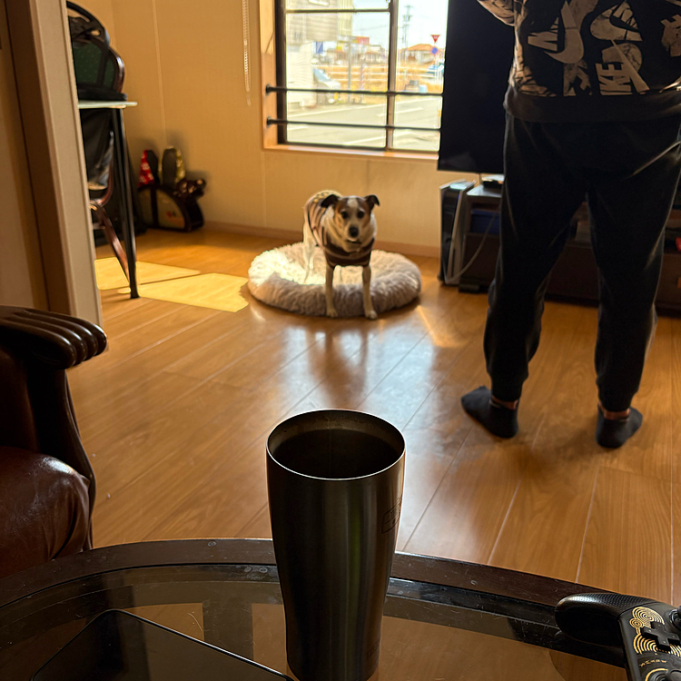 おわっちゃったの？って顔😱