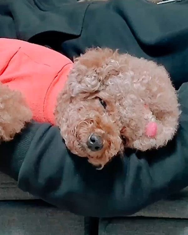 すごいの撮れた！






