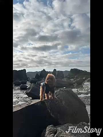 翌日は朝から更に南下して串本の方へ🚗
奇岩群の橋杭岩を見たり本州最南端まで行ってみました♪

熊野に戻り熊野三山（本宮大社・那智大社・速玉大社）最後の速玉大社へ⛩️

熊野三山は1日で回れたのですが1つずつゆっくり時間を取りのんびり熊野を堪能しました🐾

後半に続く…
