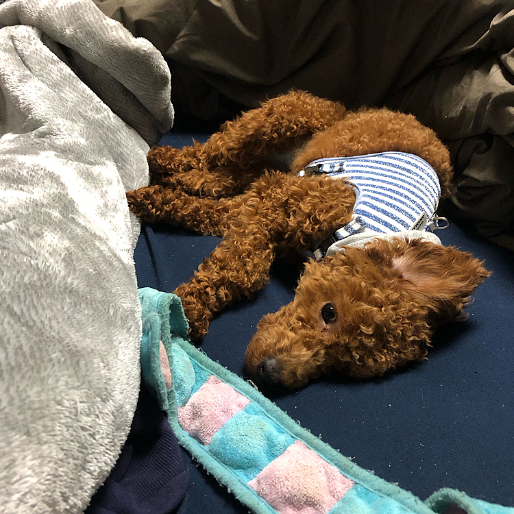 ママと一緒にねんね