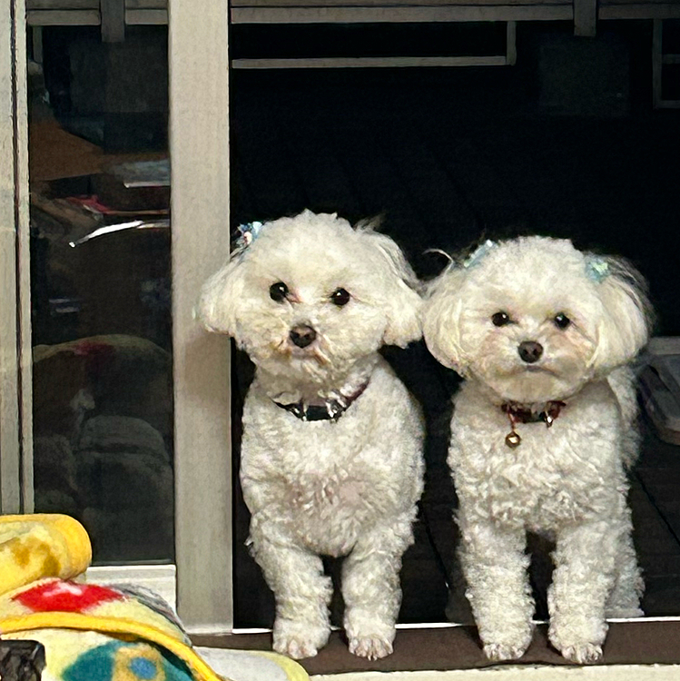 お久しぶりです♪
最近忙しくて遊べなかったのですが💦二人は元気に遊んでます☺️今週の土日は遊びに行こうかなって思います☺️
