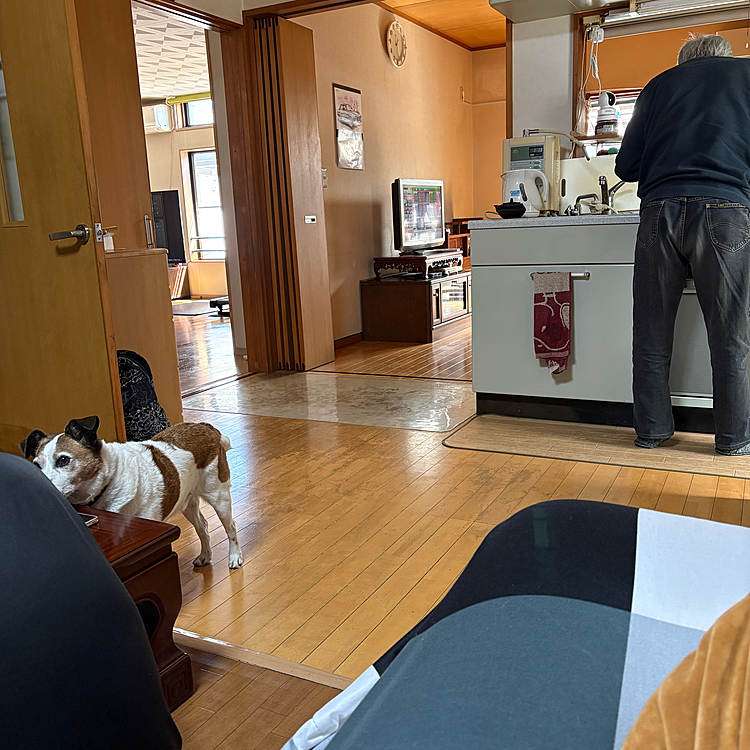 こっちでも
タイガー🐯に背を向け何かたべてる🥲
今までならくれたのに、、