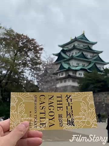 番外編
4月1日職場の友人と名古屋城に花見&ランチへ🏯

建物内は🐶入れないのでいつも城外のお散歩ばかりで城内は久しぶり♪
そして復元された本丸御殿が素晴らしかった✨
ちょうどガイドさんがいたので説明聞けました👂
とにかく豪華絢爛なのですが、その中でもお殿様が通る場所は廊下でも畳敷きだったり、天井の装飾や素材の違い、折り上げになっていたり部屋の中や廊下からの高さで格を表現しているそうです💡