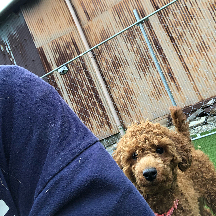 後ろの正面だぁれ？