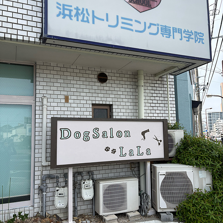 2週間に一度のトリミング
先々週はトリマーさんちでしたが今日はサロンです