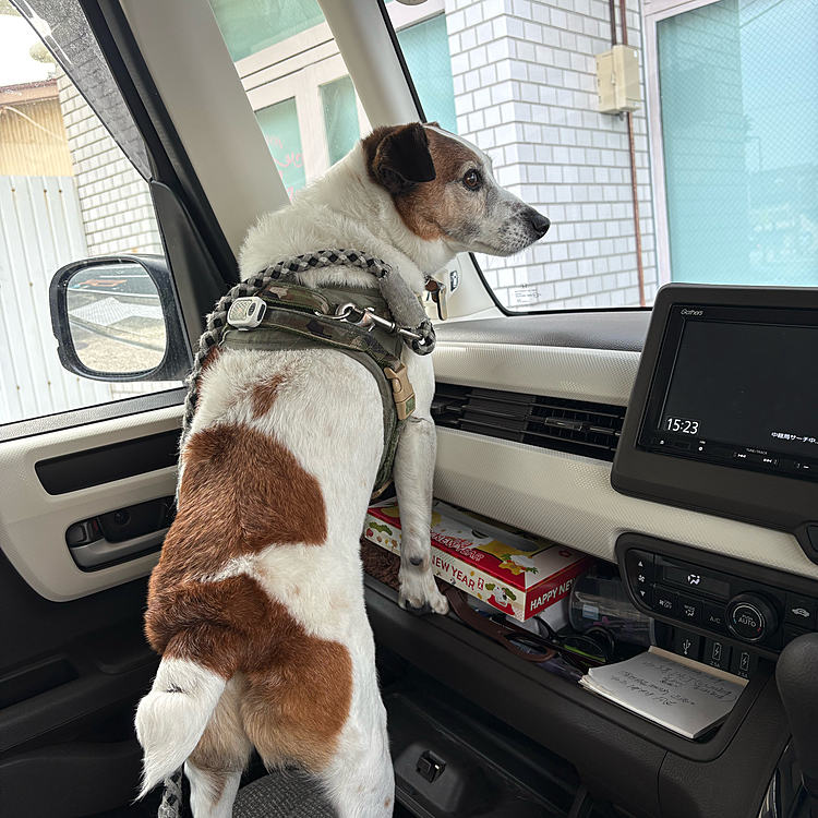 サロンをあとに、、