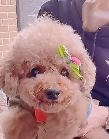 カメさんみたい








