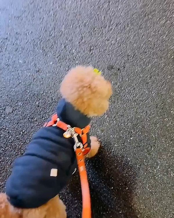 やっぱ、暗くなってきたら

駅方面が明るいよね







