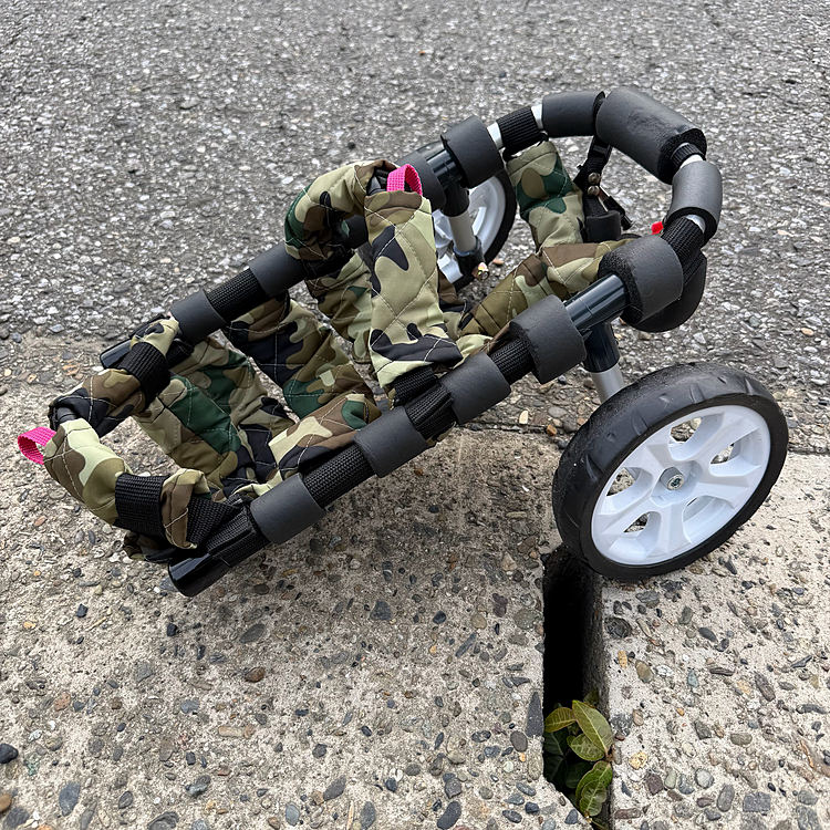 ホントはフレーム以外のパーツ全交換という予定だったんだけど､フレーム自体もくたびれてたという事だったので思わぬ形で完全に新車🚗³₃になりました🤩🤩🤩
良かったねぇ✨ココﾁｬﾝ🐶