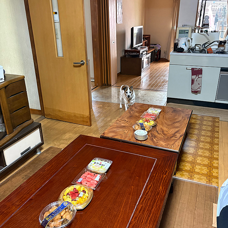 ゴールデンウィーク恒例のお食事会
準備のチェック中のタイガー🐯