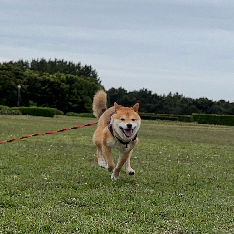 別の大きい公園♬