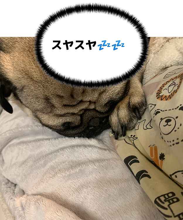 いい気持ち🥴🥴🥴