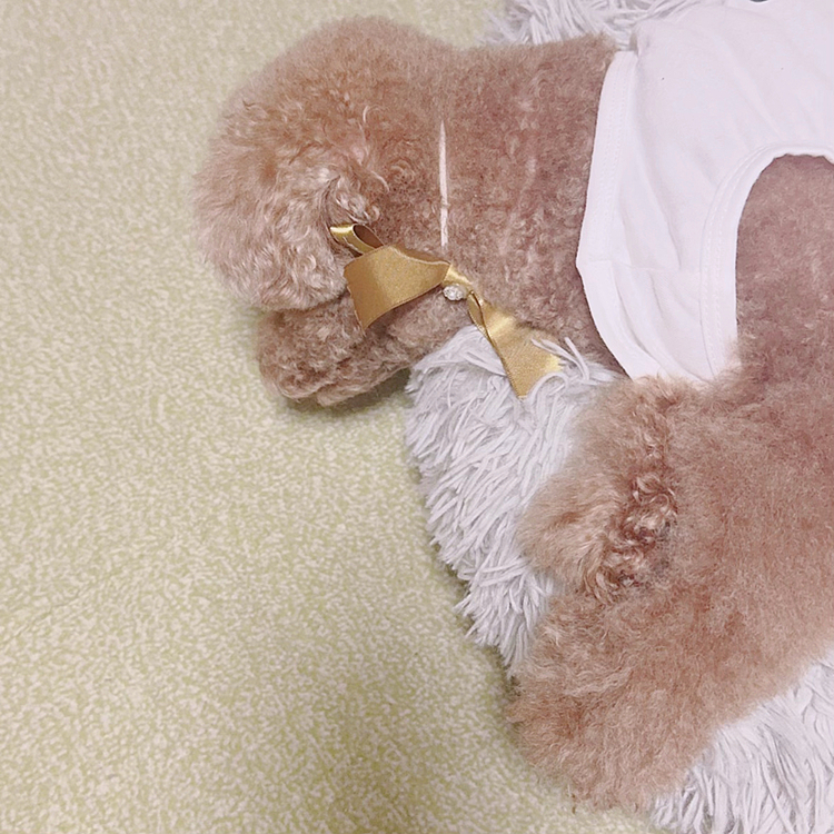 リボン付けたままおねんね💤





