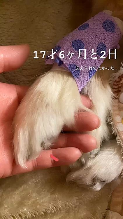 17才半と2日迎えることできてよかった…