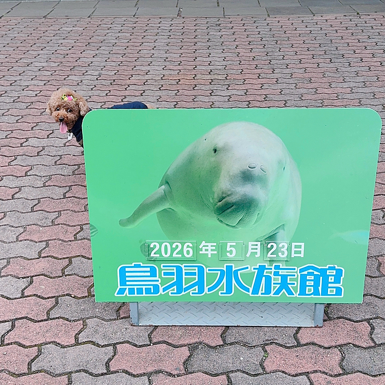 【前編】
どうしてもラッコのメイちゃんに会いたくなり

行ってきました

東京から遠いよぉ







