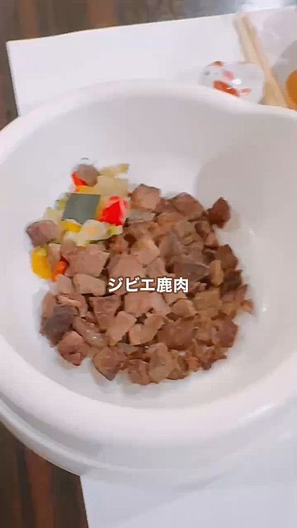 GWあたりから、ちょっとわがままになってて

言うこときかなくなってきているライちゃん

お手とかせず食べちゃいました

ひと口が小さいから、ちゃんと噛んでました

メニューあって良かったね！

でも、お腹のことを考えると半分までだね







