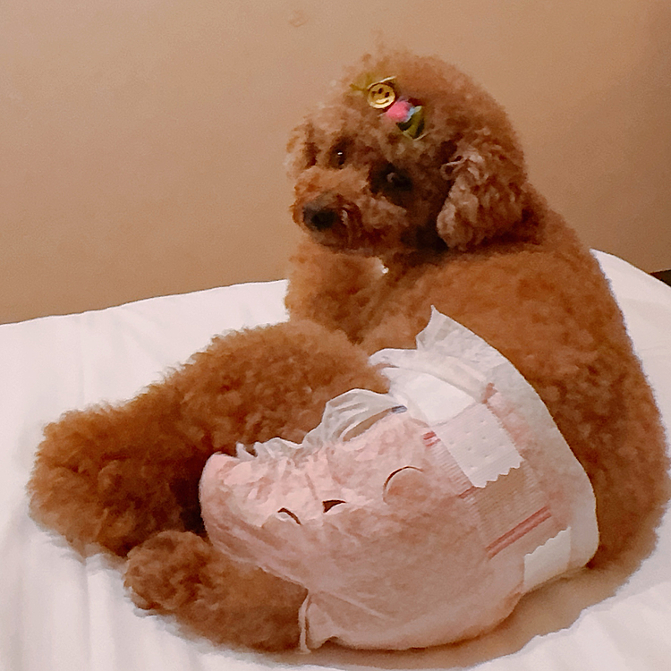 オムツするなら一緒のベッドで寝ていいんだって😊






