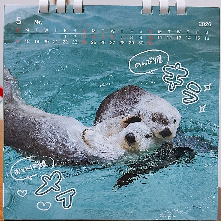 食事したところで、

「これのカレンダーは水族館で売ってたんですか？」

「いいえ、水族館がくれたんです

良かったら差し上げますよ」

と、貰えちゃってラッキー✌️💕

なんと！推しのメイちゃん😍








