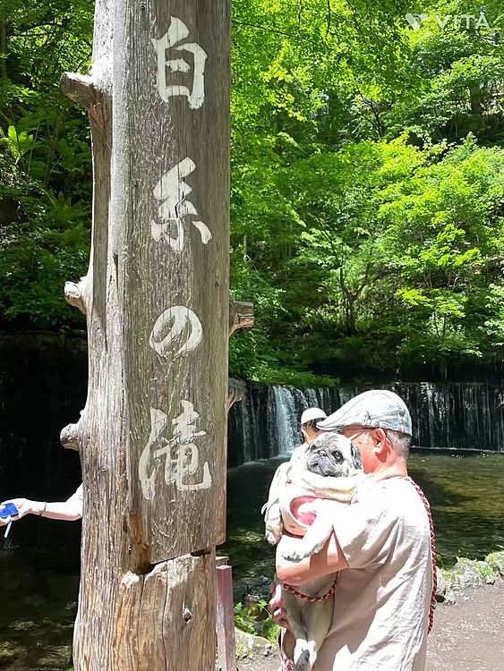 白糸の滝➡️鬼押出し園➡️浅間牧場➡️浅間大滝のルート🚗
白糸の滝は駐車場の混雑にビックリ‼️
鬼押出し園はちょっと暑すぎでししまるガハガハ💦ほとんど歩かず顔ハメパネルで記念写真😵
浅間牧場では🐮の放牧が見られず残念‥でも雄大な風景を堪能できました⛰️
現地でチャッピーに聞いた浅間大滝、人出も少なくマイナスイオンたっぷりの穴場でした👍
でも途中の『🐻注意⚠️』の看板に人出が少ない分余計に怖かったです😅