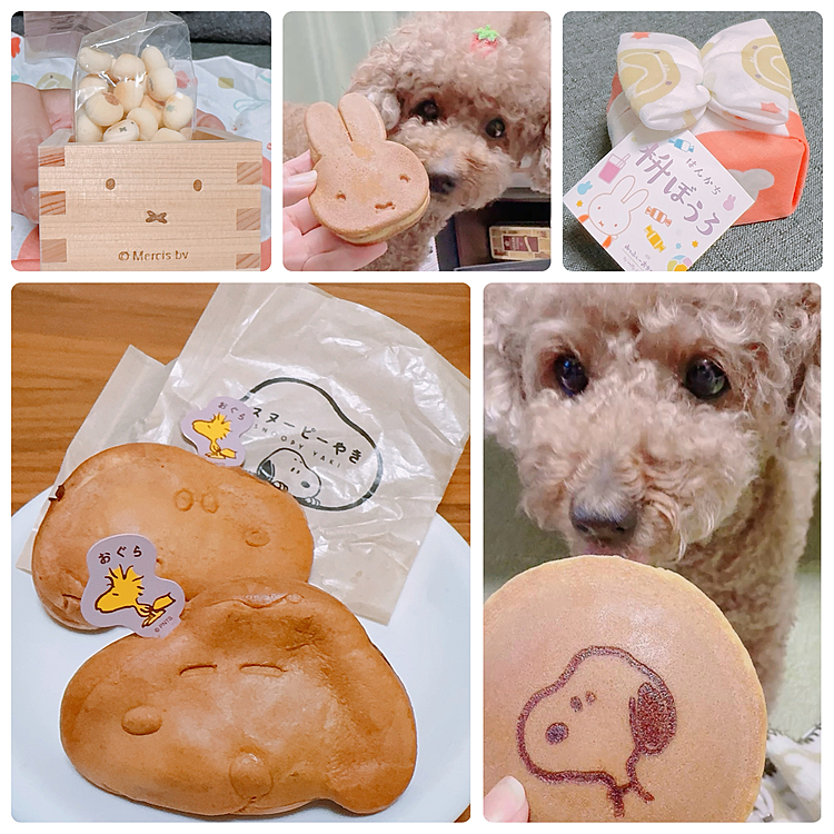伊勢のおかげ横丁で買った和スイーツ

ミッフィーもスヌーピーも可愛いねぇ

すごく甘かった😆






