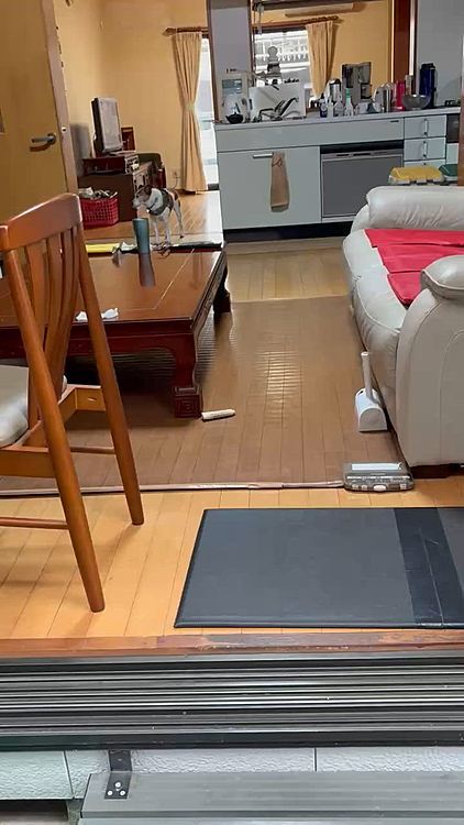 散歩やめようか⁉️
と思うほど
呼び続け待ち続け、、🥲
夫のオヤツ食べるタイミングに腹だつ💢