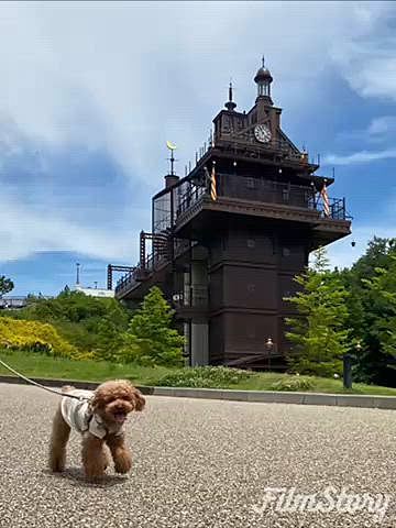 翌週も万博跡地の公園です😆
30度予報でお出掛けはもう無理かなぁと思っていましたが、曇っていてそこまで暑くなかったのでお弁当も作り出掛けました♪
うなぎと玉子のおにぎらずは見た目イマイチでしたが美味しかったです😋
日陰の多いエリアを選んだのでたくさん歩いたけど快適でした🐾