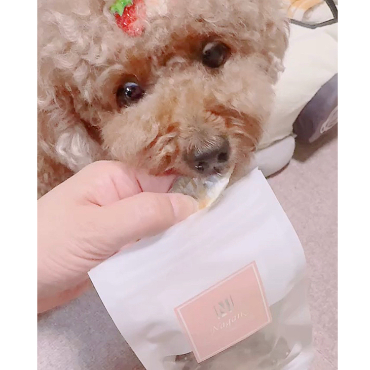 小さい鯛のおやつ






