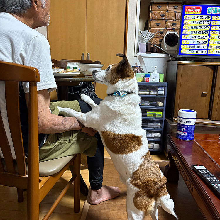 一生懸命アピールするけど
貰えません😅