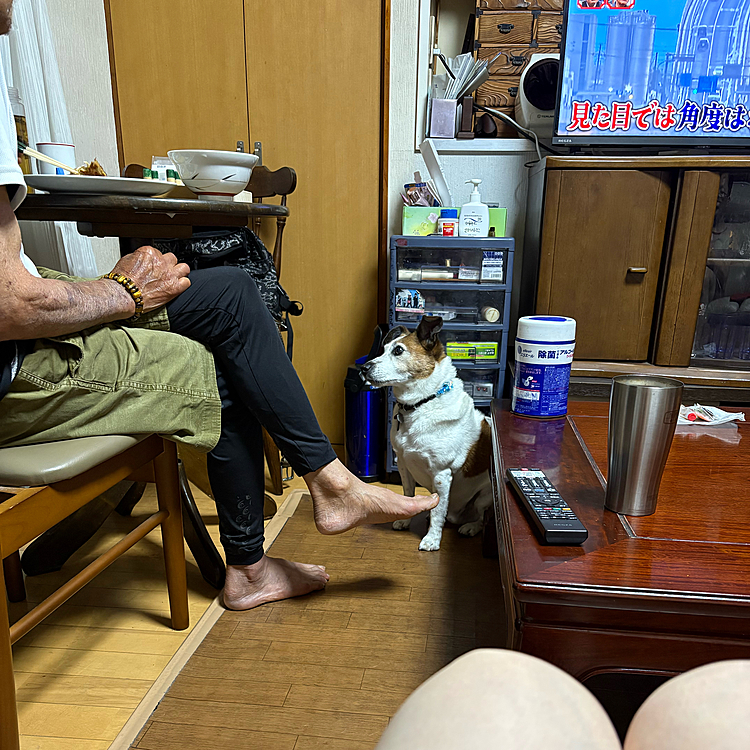 別の角度から
アピール再開
結果はかわりませんが、、😆