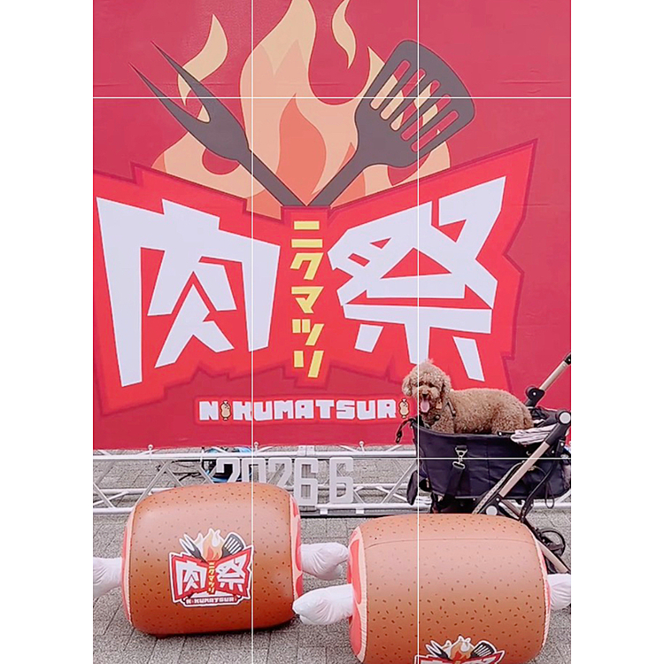 肉フェスとは違うんだけど、お肉メインのブースがありました






