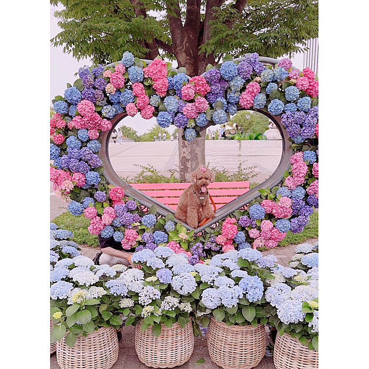 こんなシャレオツな場所もあって

ライちゃん、ちょっと怖かったみたいだけど

がんばった！





