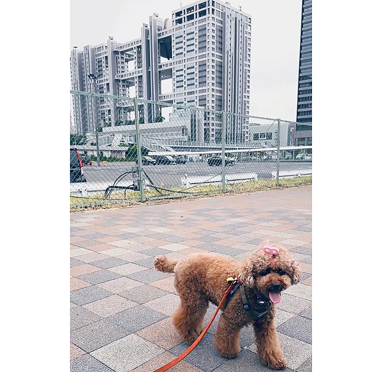 フジテレビの裏だよ

フェスやるとこ





