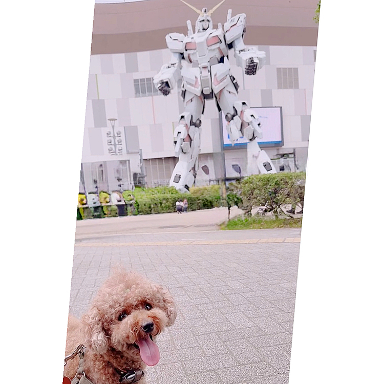 ガンダムもテッパンだよね！

前より外国人撮ってなかったな・・・

２時間おきくらいに煙出たり、

光ったり、劇中のセリフ言ったりしてたよ






