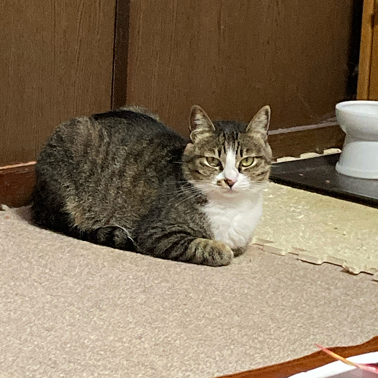 もう待ちくたびれて眠いです🥱