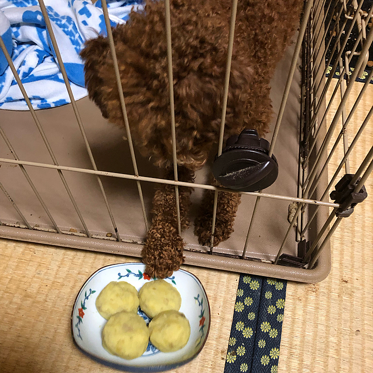本日ルカくん一歳の誕生日をお迎えしました🎉
ママの特製ケーキご飯の後に食べようね。
ルカにとって素敵な一年になりますように