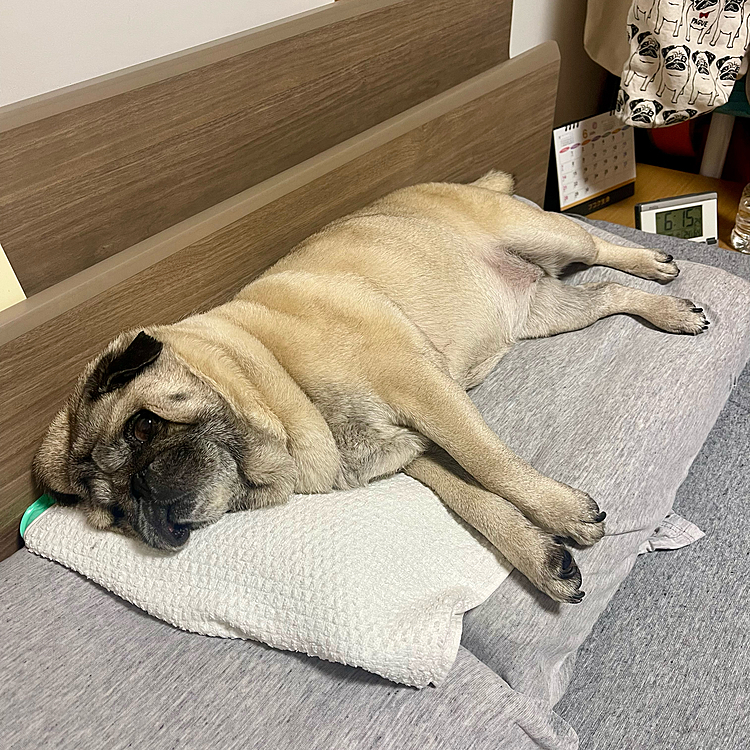 冷え冷えアイス◯ンも堪能です😅