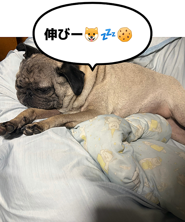 大好き❤💕miles🐶