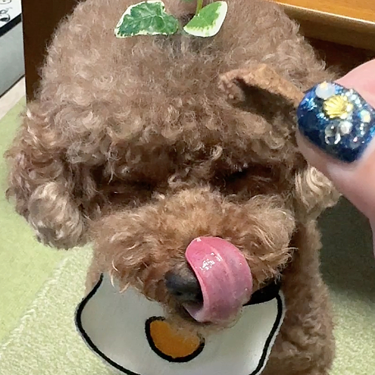 いきなり居なくなるんだもん😢😢😢





