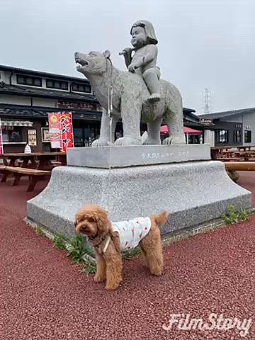 翌日は曇り👏👏👏
後方にどーんと富士山が見えるはずが全く見えないけど全然🆗
普段ならガッカリですが逆に助かります🐾

観光地にはどこも行かなかったけど、お寿司🍣やアジフライ食べたり🐟桃を箱買いしたり🍑ハッピーの笑顔もたくさん見られて飼い主も癒される幸せ時間でした💗