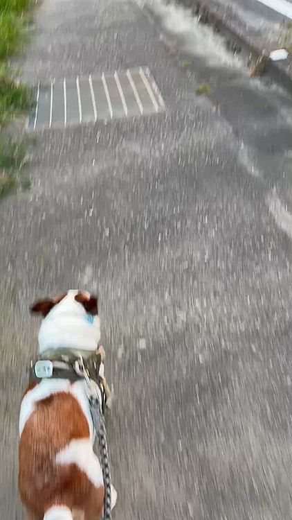 国道につながる道
早く帰りたい
暑ーい