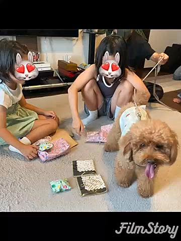 翌日は義兄家族と海外駐在の甥っ子家族と集合🧑‍🧑‍🧒‍🧒
午前中は二日酔いだったので午後集合で良かった😜
まずは施設にいるばぁばに会いに行き、私の父宅の畑でスイカ収穫体験をして、散歩にも行きました🐾
夜はすき焼きとアイスクリームで娘ちゃんの誕生日会🎊
賑やかで楽しかったです♪