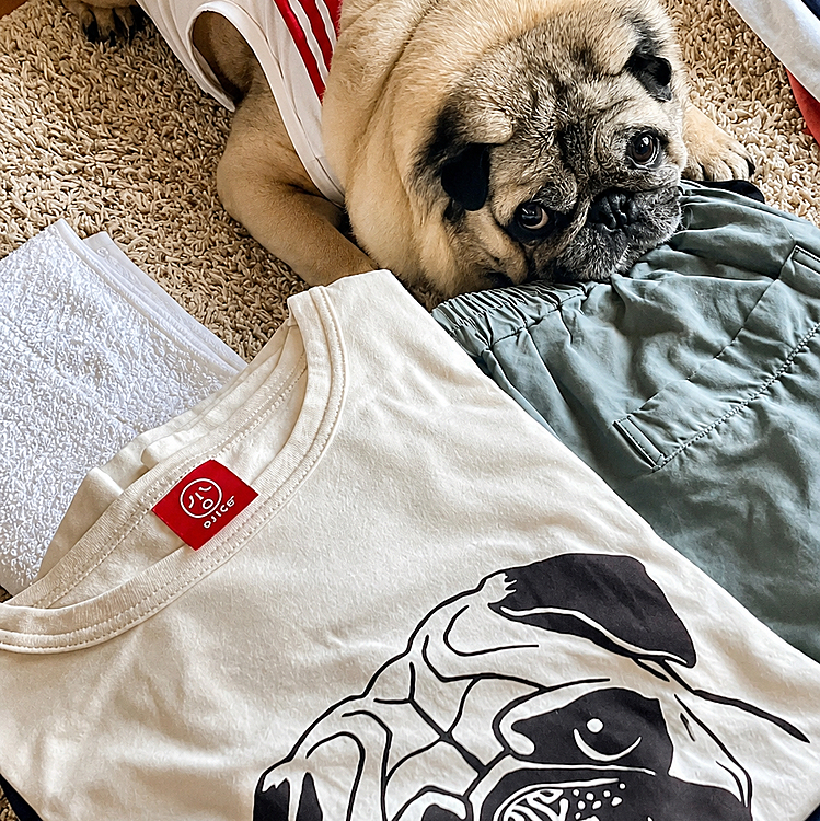 とうちゃん愛用のパグTシャツ🐽