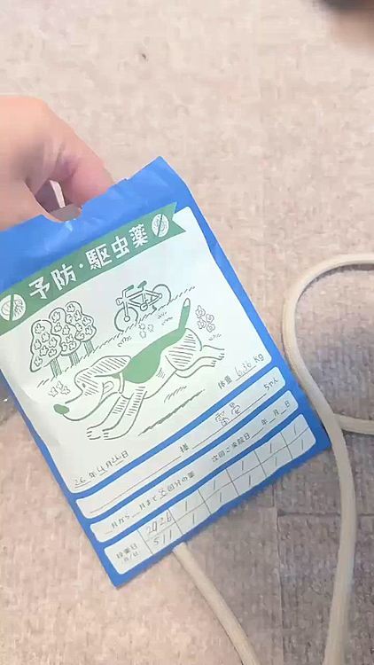 ライちゃんの行ってるサロンは

ノミダニ駆除剤を飲んでないとトリミングしないルールが新しくできました

必須月4月〜12月

クレデリオを何ヶ月分買ったかのレシートなど提出

そして「今日、ノミダニのお薬この後飲むんですよね？」と再確認されたので

飲ませましたとゆー動画を一応送りました






