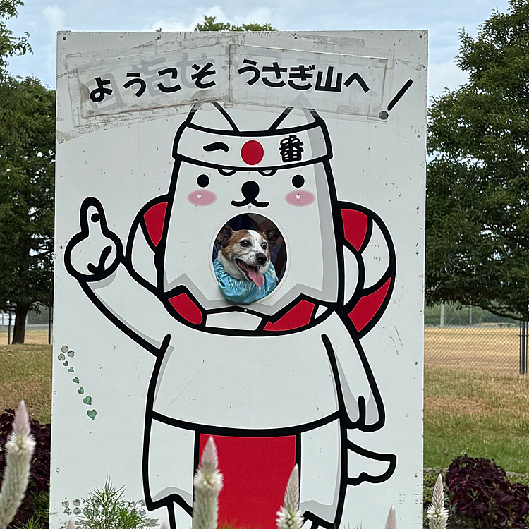 ハッピーとピースの家🏠遊びに行って
公園🛝へ