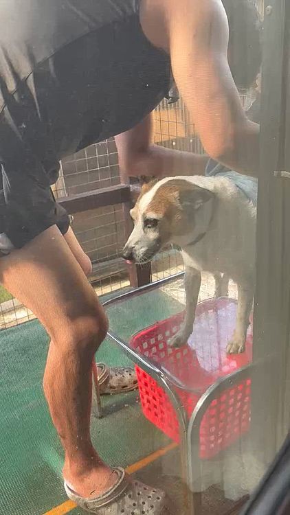 乾かしまーす