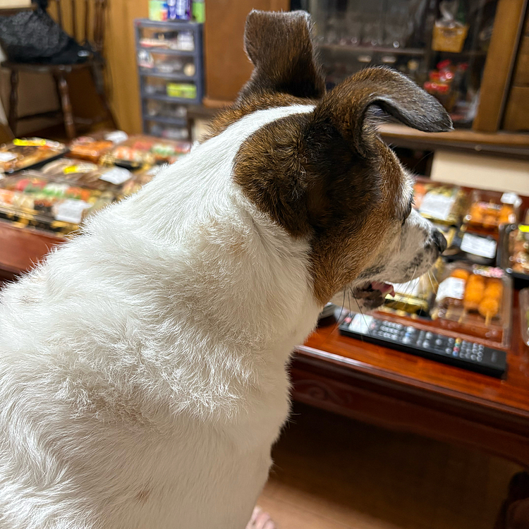 点検完了