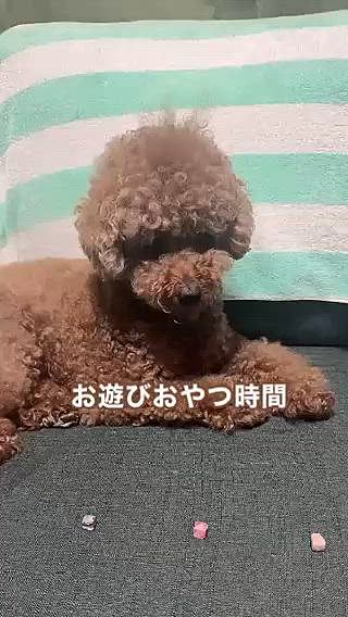 こんな遊びしながら

おやつ時間すごしたりしてます







