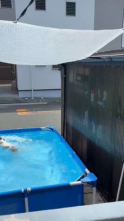 さいごなので
大サービス