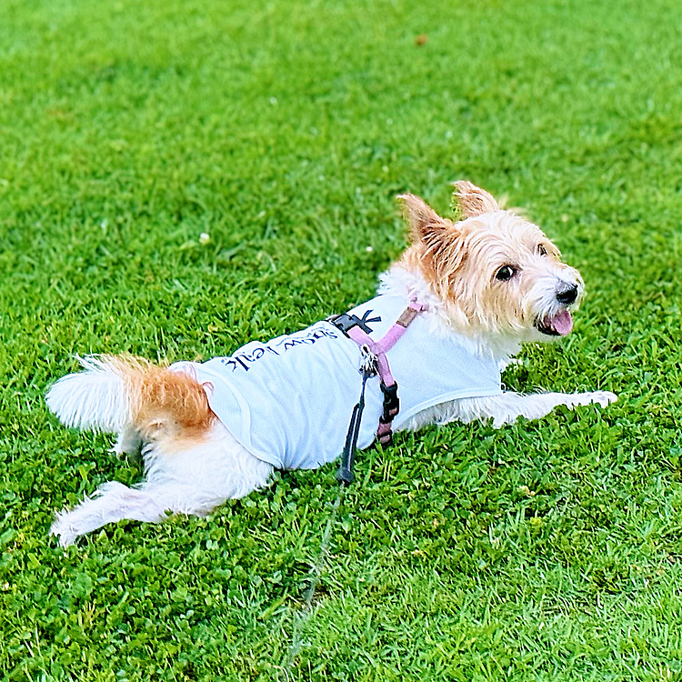 芝生は気持ちいい♡